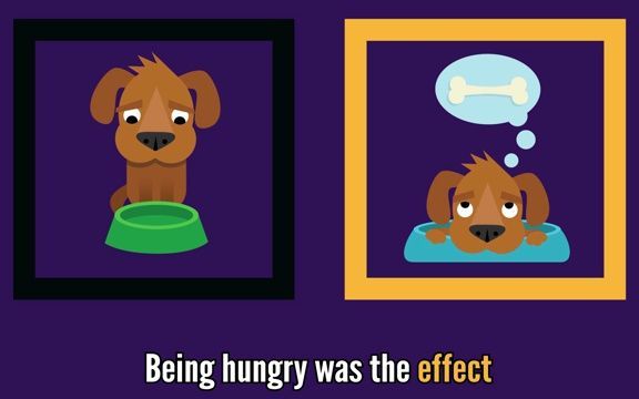Cause and effect relationship