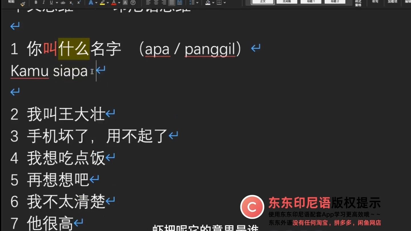 250319｜印尼语中的常用句子｜东东印尼语｜学习印尼语｜印尼文｜Bahasa Indonesia #印尼语 #学习印尼语