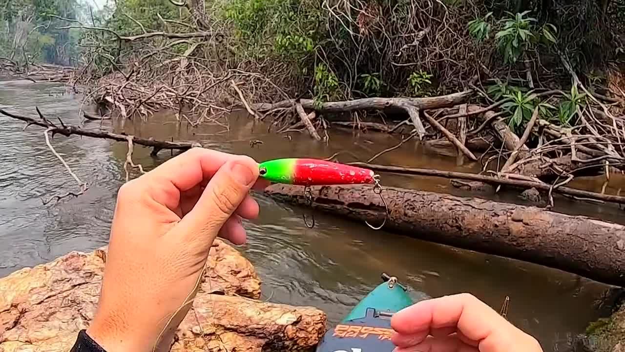 QUANDO ELE APARECE, NÃO TEM QUEM NÃO TREMA NA BASE... Pescaria.
