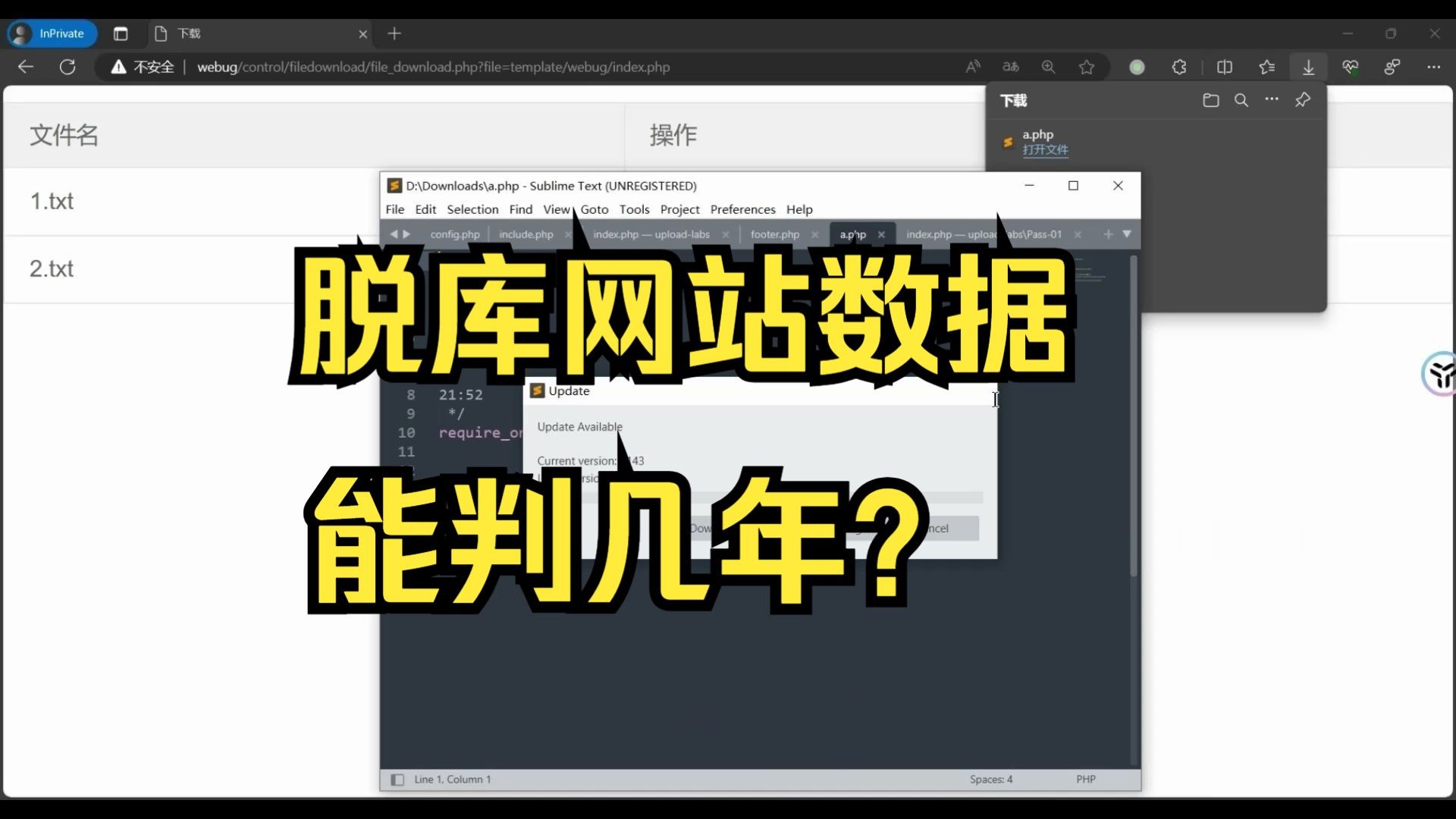 一不小心打包网站“数据库”网络安全攻防测试演示！