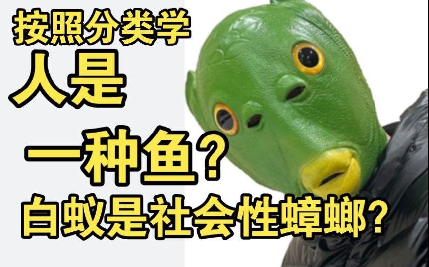 人是鱼？昆虫是虾？别认错祖宗了！纲目科属真的有意义吗？分类学上的单系群到底有何意义？