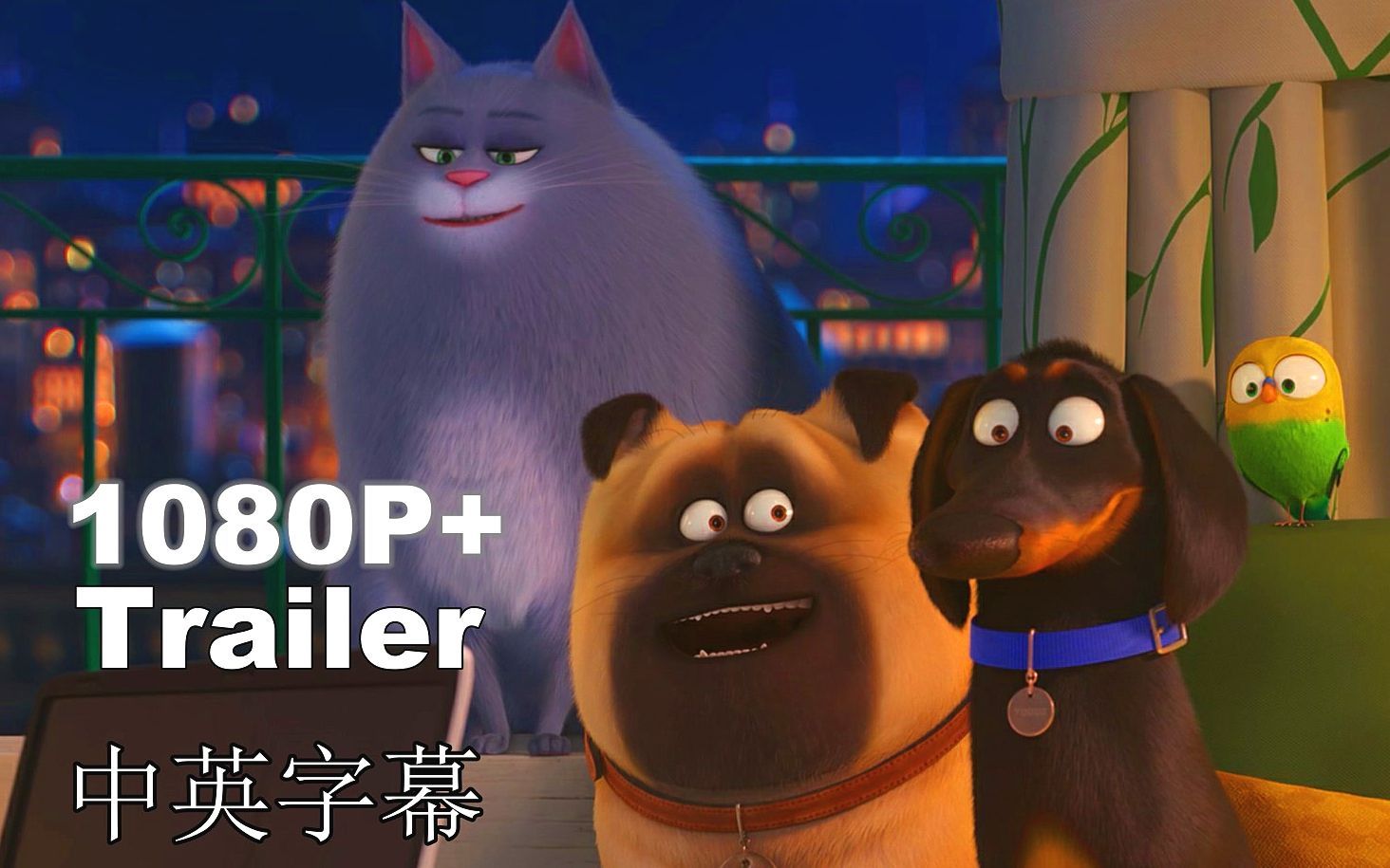 2019动画电影《爱宠大机密2》中英字幕1080P+预告，Gidget，Daisy，Snowball，Chloe，Max