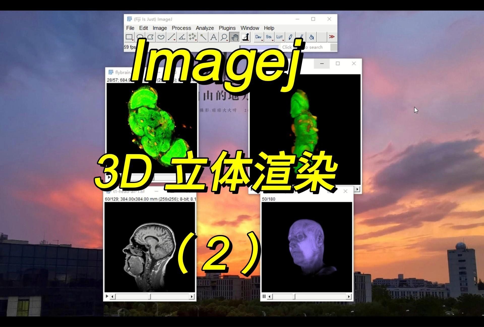 Imagej 3D立体渲染法（2）：3D Viewer