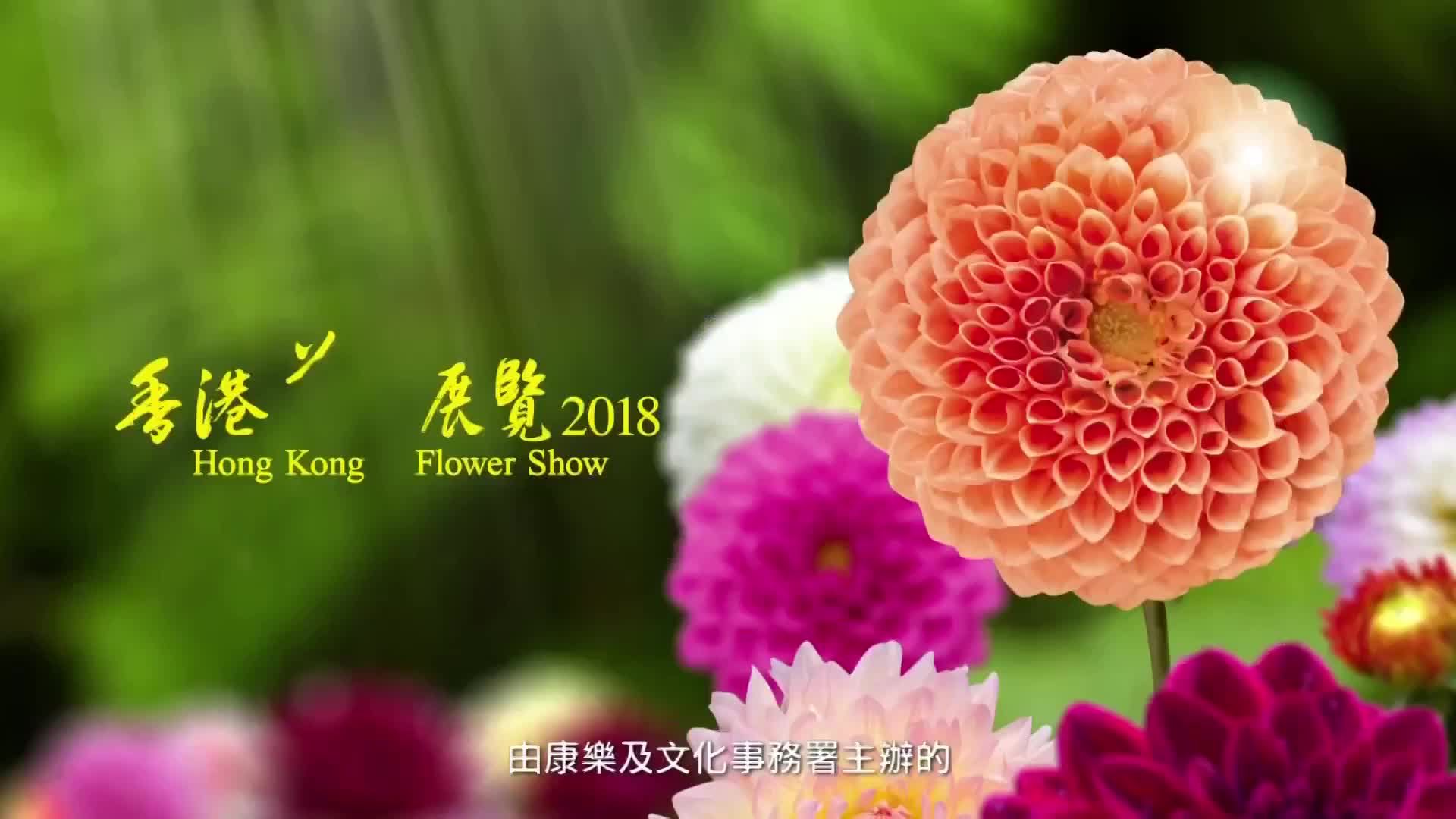 央视广告欣赏-香港花卉展览2018