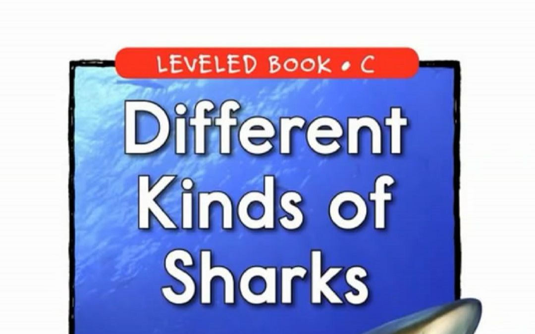 「不用词汇书背单词」Episode 309：Different Kinds of Sharks