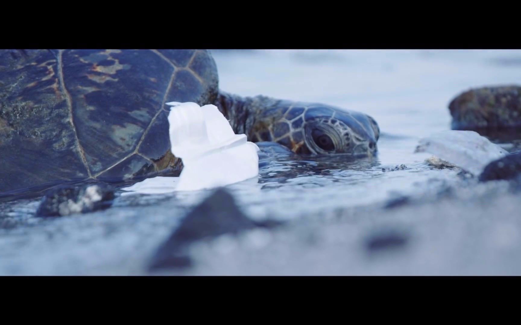 Water Pollution -- No Water, No Life