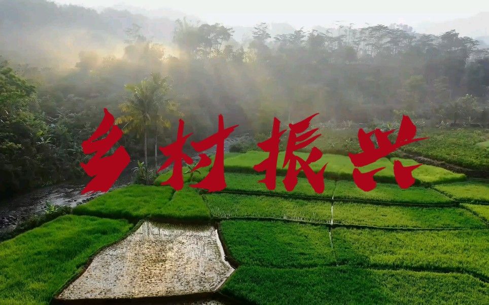 乡村振兴自剪片段