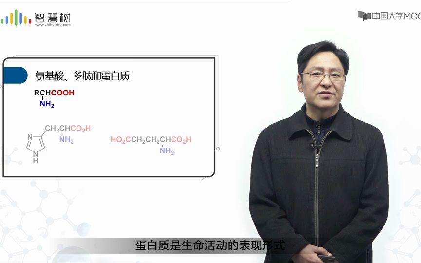 [2.6.1]--取代羧酸：氨基酸