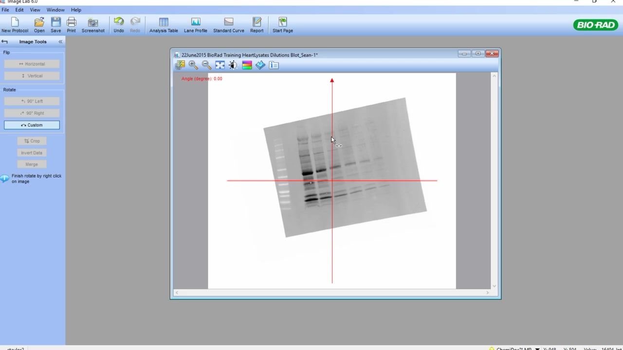 Image Lab Software - Densitometric Analysis of Gels and Western Blots-IV_P47ScoY