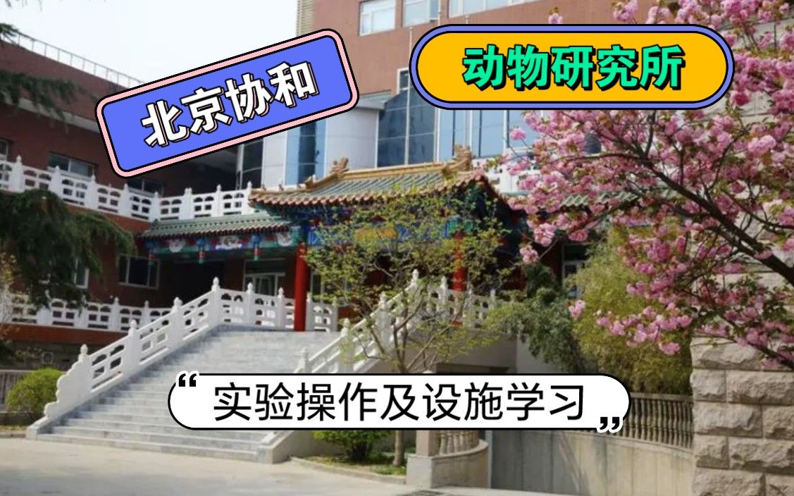 实验动物操作/动物影像实验设施学习