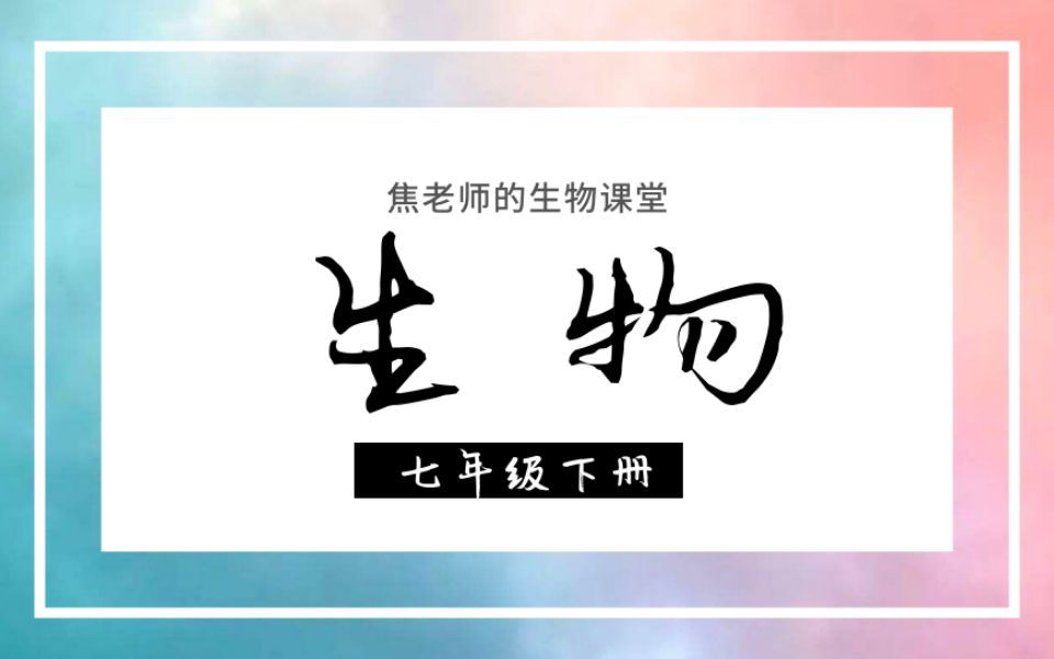 【焦老师】初中生物冀教版七下 1.3营养物质的吸收和利用（非互动）