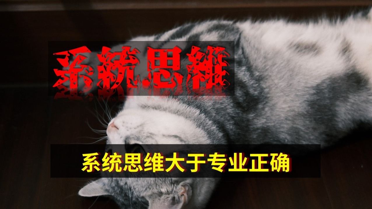 系统思维大于专业正确