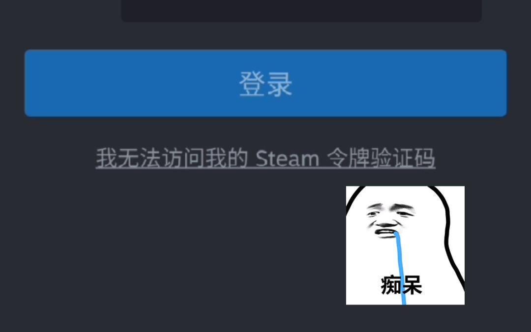 我无法访问我的 Steam 令牌验证码