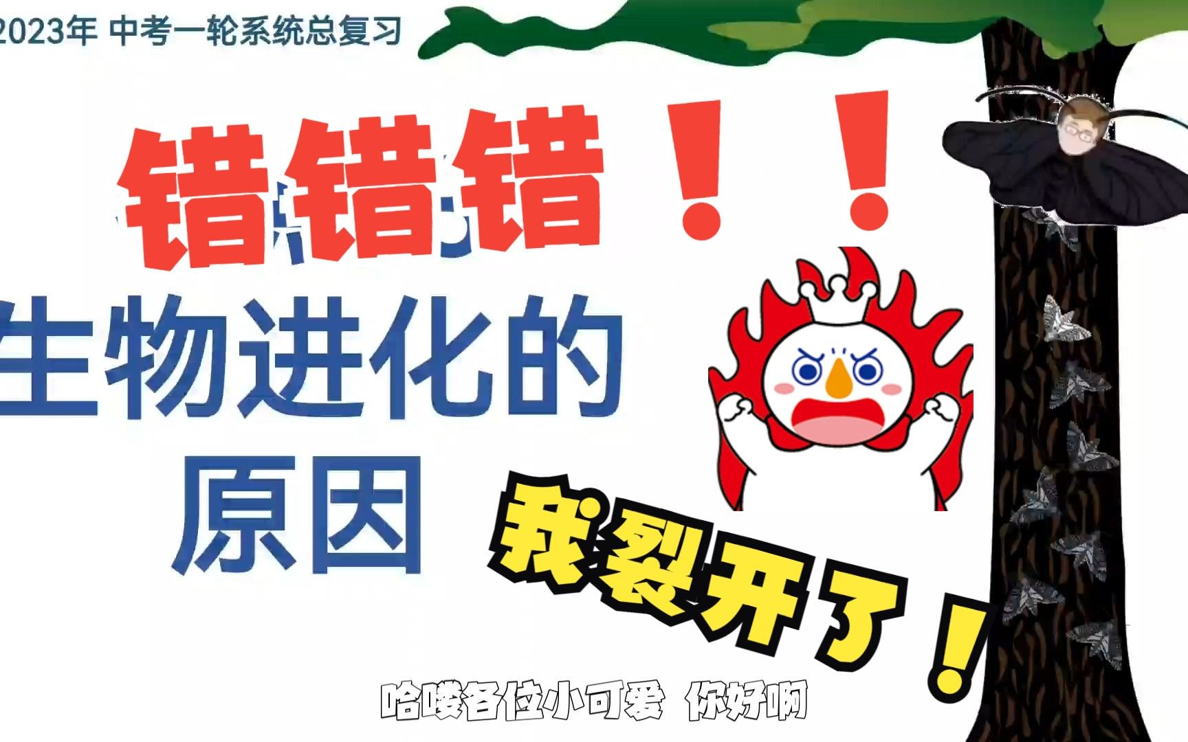 【中考生物】精讲难点：自然选择学说 | 八下 | 2024版最新中考
