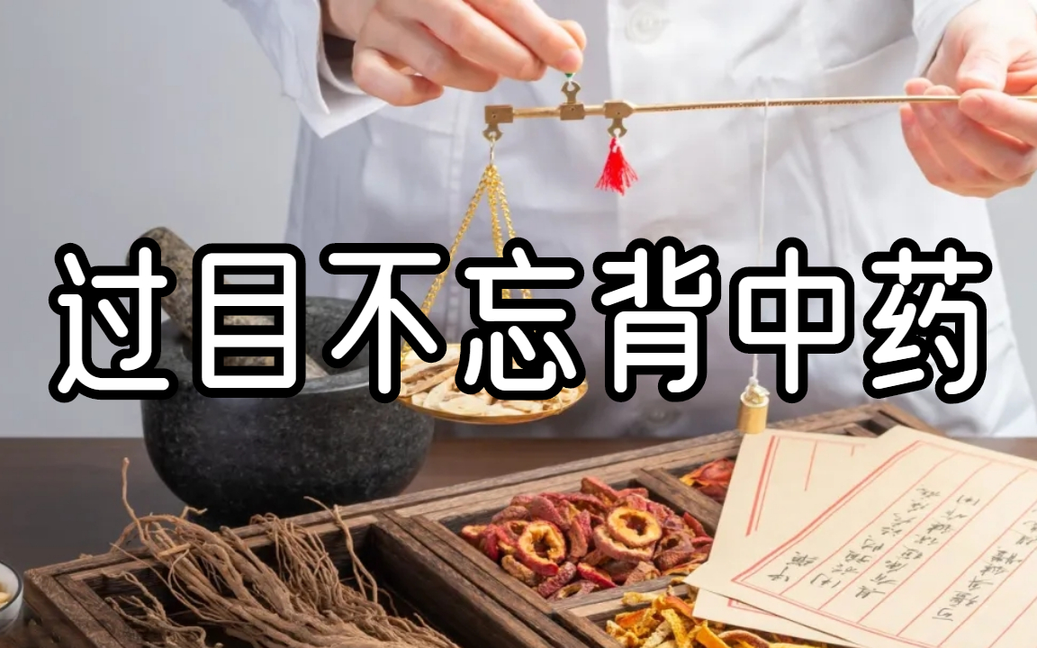 中药带背【快快记忆+补充】背诵方法+适用人群|中药最强|中医考研|快速记忆|中药背诵课|【干货】中药初学者如何快速高效记忆|中药学记忆囗诀