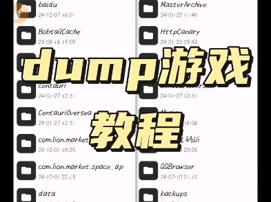 这期出dump游戏教程，下期出看dump抓功能