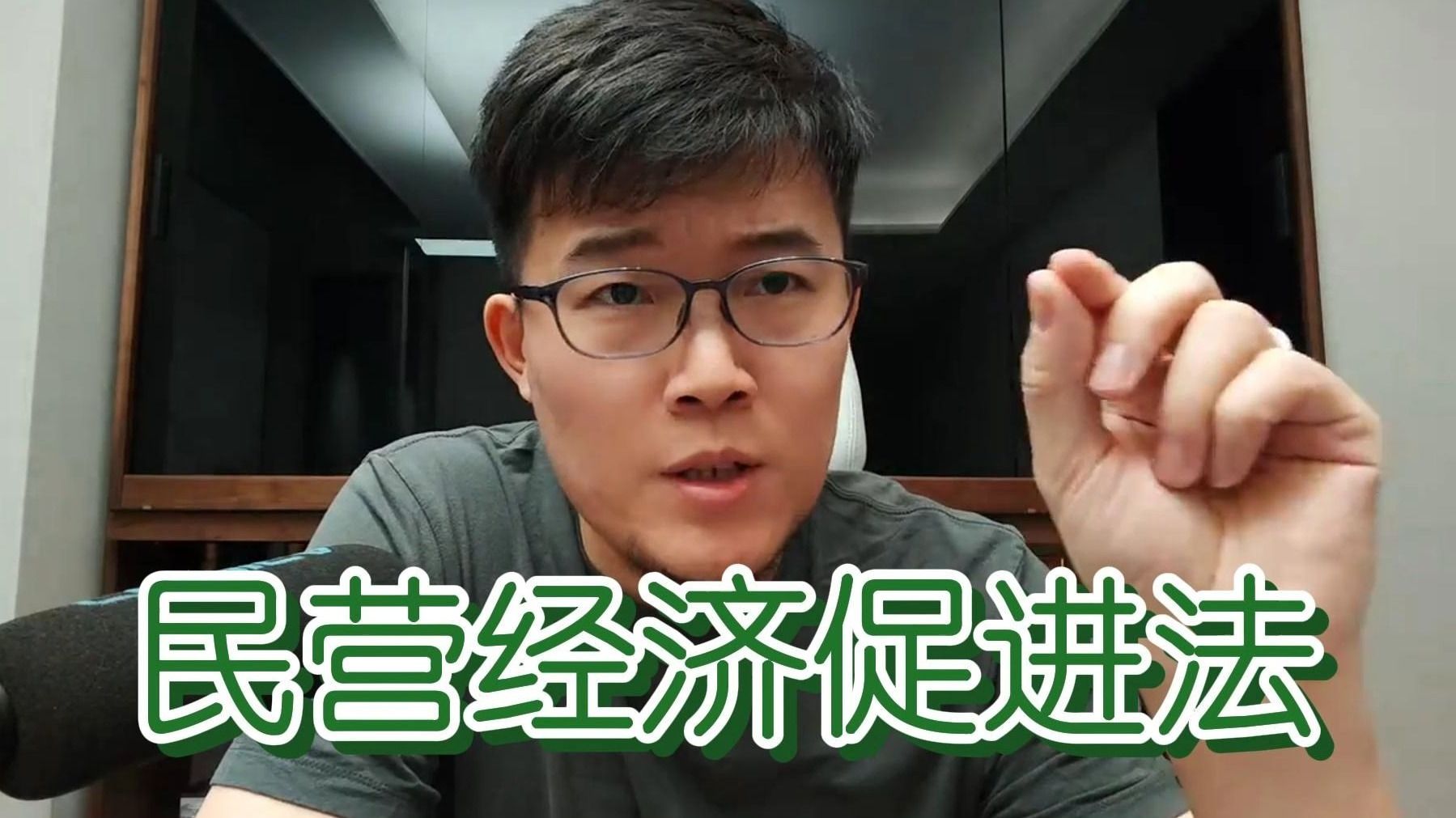 【Z哥】民营经济促进法的通过，大大提升民营企业家投入市场的积极性，太nb了 | 5.11