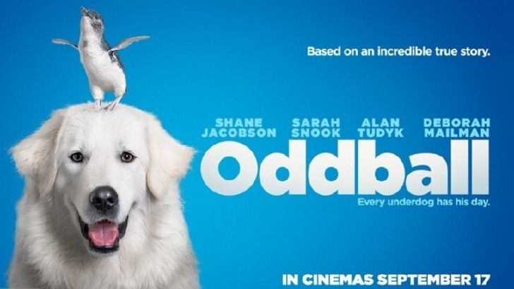 Xem Phim Chú Chó Oddball, Oddball And The Penguins 2015