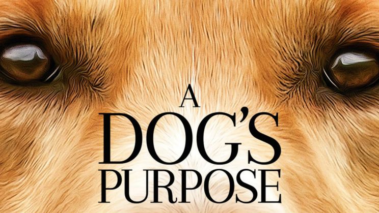 Xem Phim Mục Đích Sống Của Một Chú Chó, A Dog’s Purpose 2017