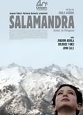 Salamandra.