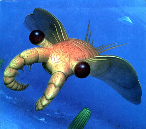 [Image: Anomalocaris.jpg]